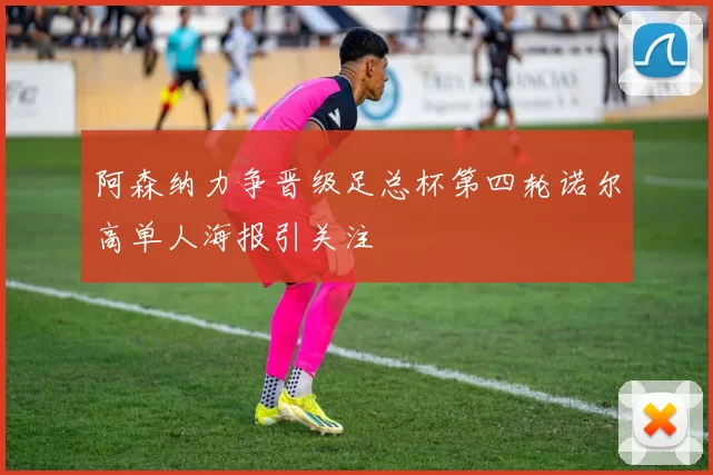 阿森纳力争晋级足总杯第四轮诺尔高单人海报引关注