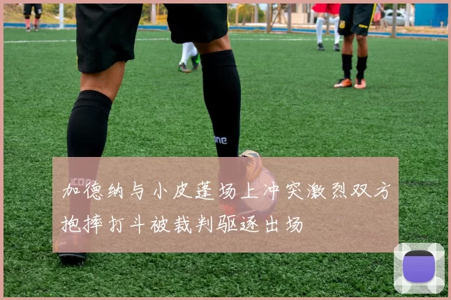 加德纳与小皮蓬场上冲突激烈双方抱摔打斗被裁判驱逐出场
