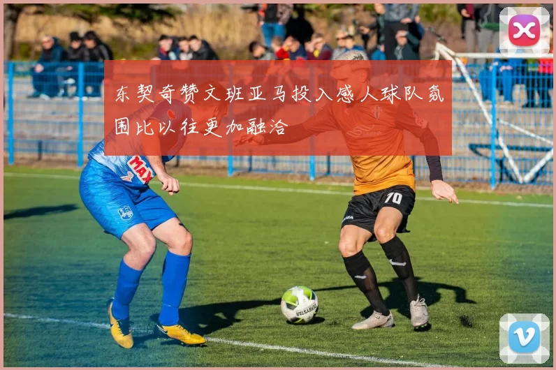 东契奇赞文班亚马投入感人球队氛围比以往更加融洽